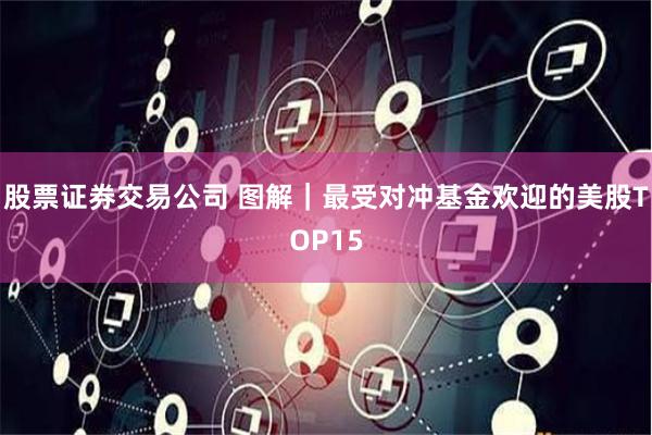 股票证券交易公司 图解｜最受对冲基金欢迎的美股TOP15